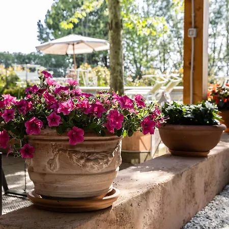 Bed and breakfast Vecchio Granaio Pisa